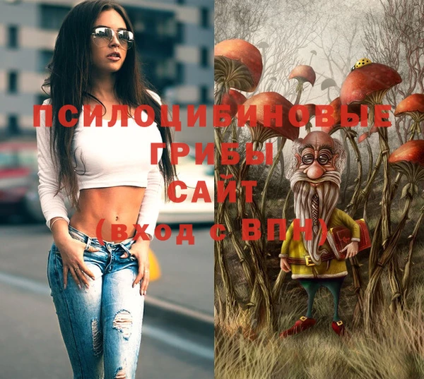 а пвп мука Армянск